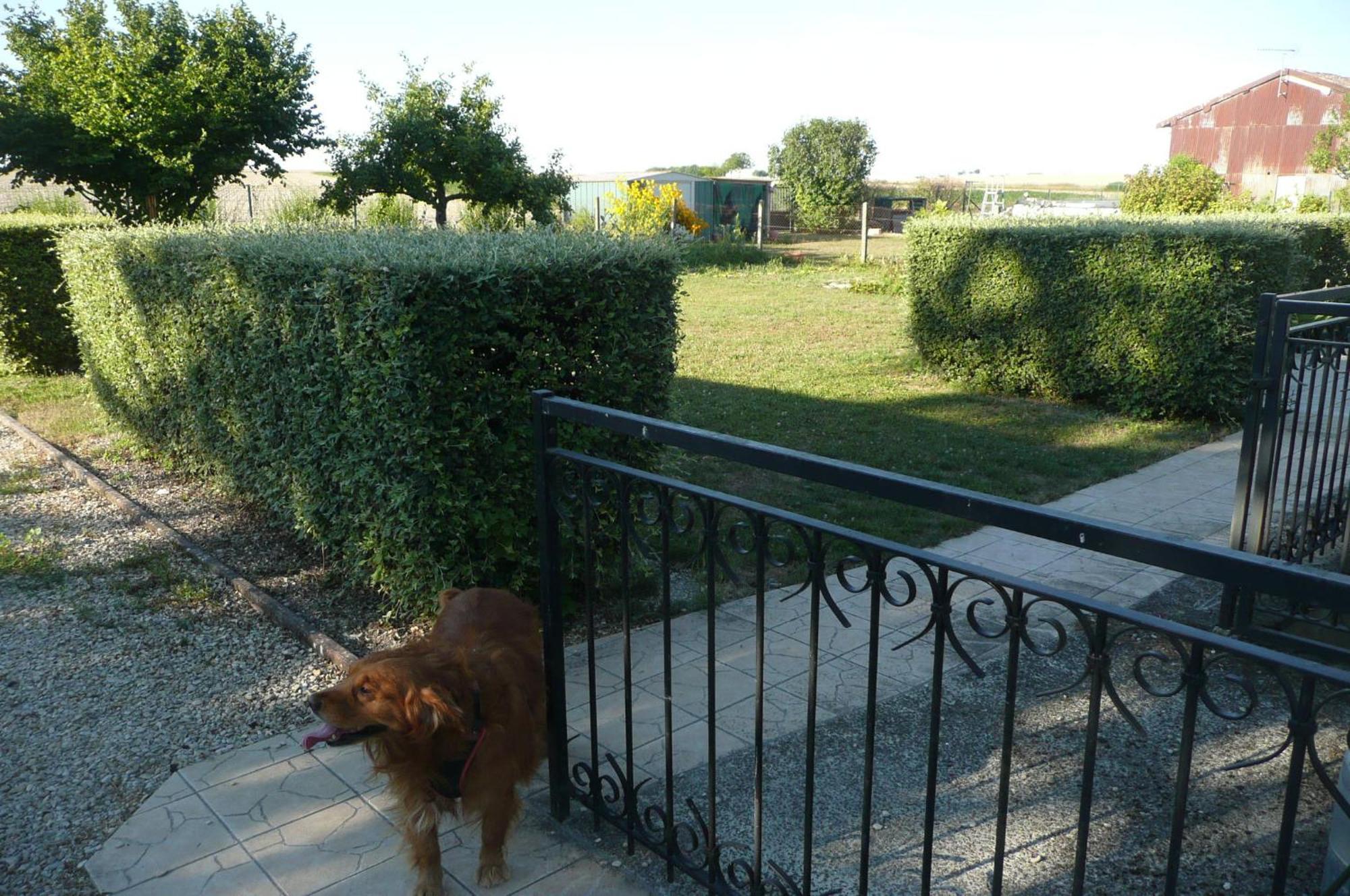 Villa L'Haubette à Courtisols Extérieur photo